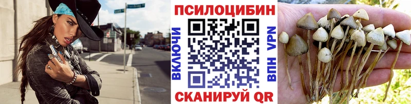 цены наркотик  OMG ONION  Галлюциногенные грибы MAGIC MUSHROOMS  Пятигорск 