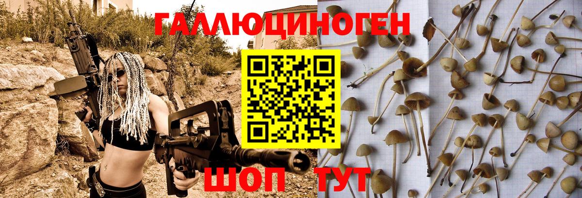 Псилоцибиновые грибы MAGIC MUSHROOMS Пятигорск