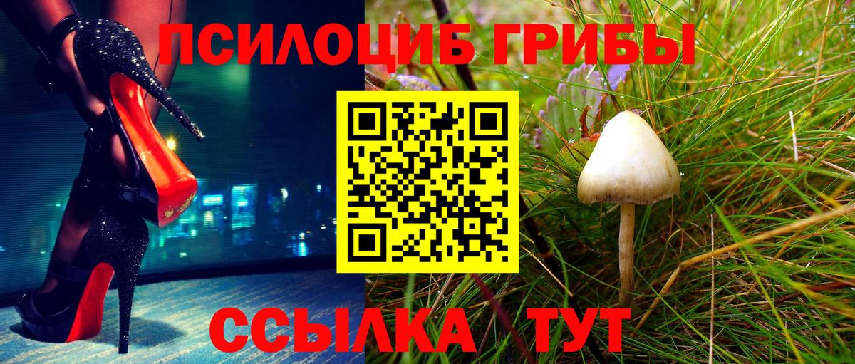 купить закладку  Галлюциногенные грибы мицелий  Пятигорск  Псилоцибиновые грибы прущие грибы 