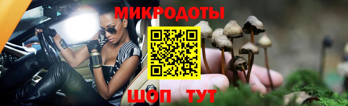 Пятигорск  Галлюциногенные грибы Cubensis  Вход с VPN  Псилоцибиновые грибы GOLDEN TEACHER 